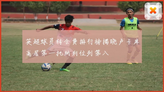 英超球员转会费排行榜揭晓卢卡库高居第一托纳利位列第八
