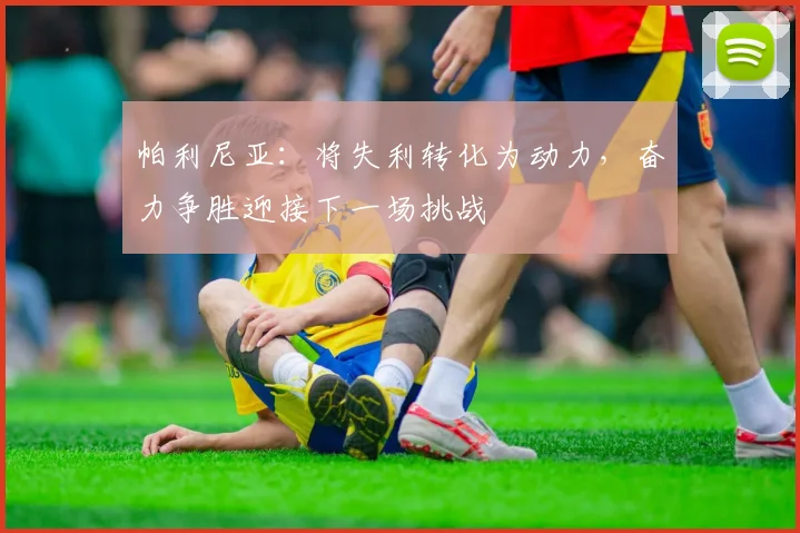 帕利尼亚：将失利转化为动力，奋力争胜迎接下一场挑战