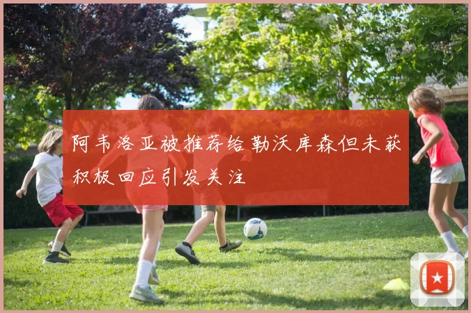 阿韦洛亚被推荐给勒沃库森但未获积极回应引发关注